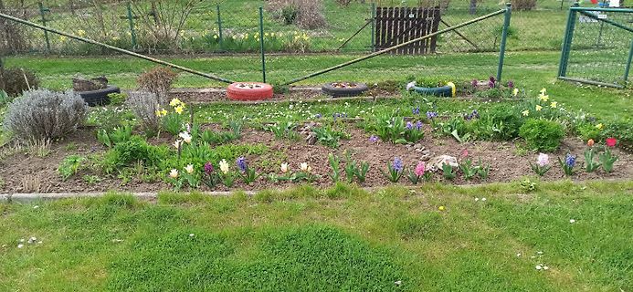 Blumenbeet mit Reifen als Pflanzgefäßen