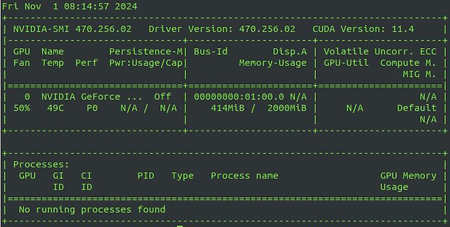 NVIDIA-SMI Ausgabe der GPU-Auslastung