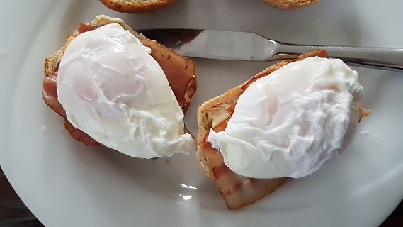 Poached eggs on toast with bacon