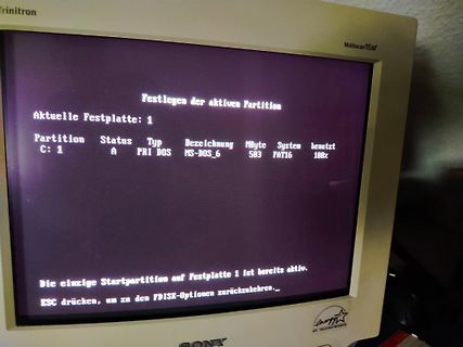 Sony Trinitron Monitor mit FDISK-Menü