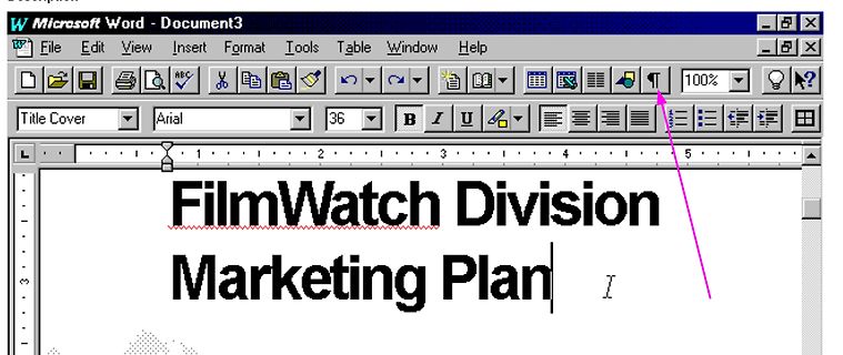 Screenshot von Microsoft Word Dokument