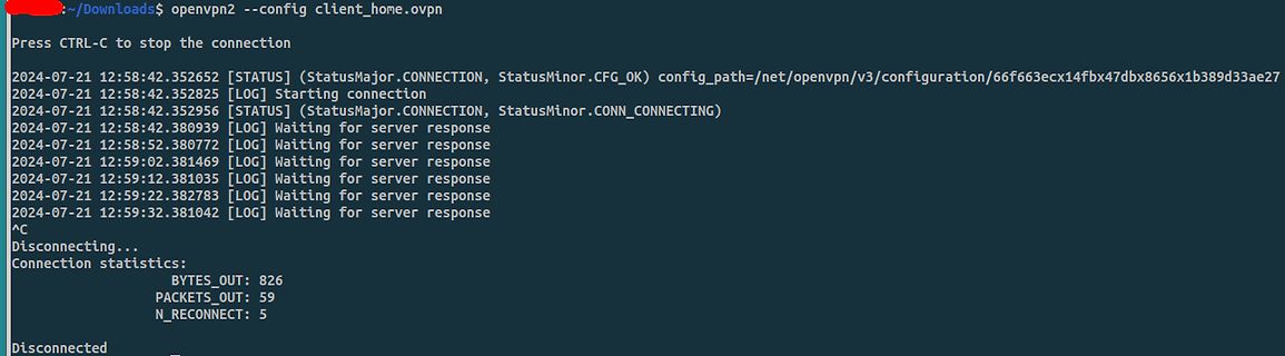 OpenVPN Terminal-Logausgabe