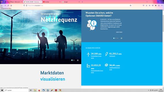 Webseite von SMARD mit Marktdaten zur Netzfrequenz