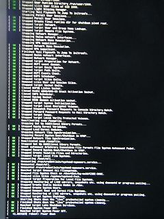 Textzeilen eines Linux-Bootvorgangs auf einem Monitor