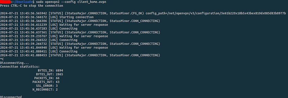 Terminal-Ausgabe eines fehlgeschlagenen OpenVPN-Verbindungsversuchs