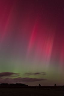 Rosa Polarlichter über dunkler Landschaft