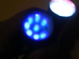 Blaue LEDs in einem Gehäuse
