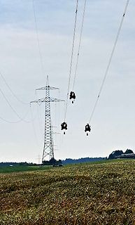 Hochspannungsmast und Stromleitungen über einem Feld