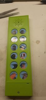 Grünes Spielzeug mit Vogelbildern
