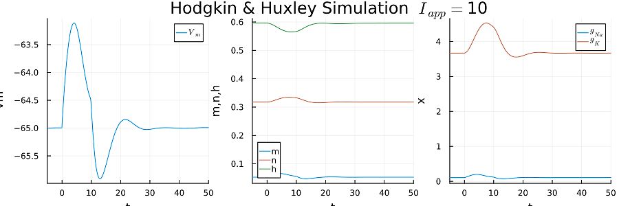 Hodgkin & Huxley Simulation Diagramme