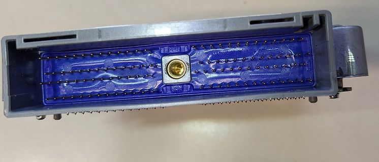D-Sub Stecker Gehäuse mit blauer Kunststofffüllung