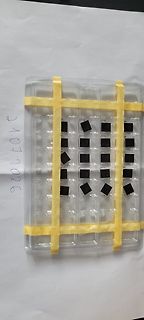 In einer Kunststoffschale liegende Mikrochips