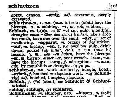Ausschnitt aus einem deutsch-englischen Wörterbuch