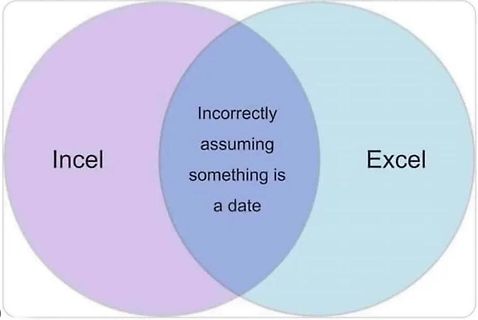 Venn-Diagramm über Incel und Excel