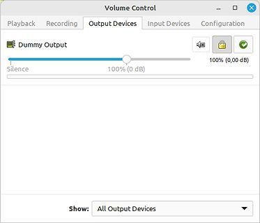 Screenshot einer Audio-Ausgabeeinstellung