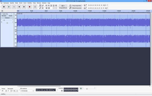Screenshot einer Audio-Editing-Software