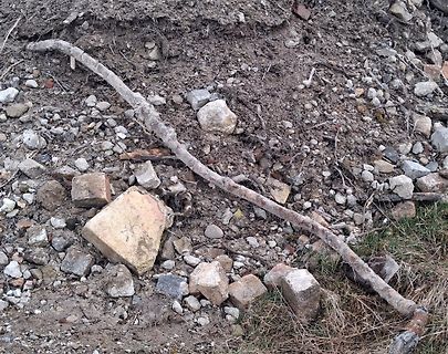 Steine, Erde und ein Ast auf dem Boden