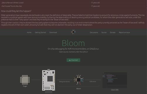 Webseite des Bloom On-chip Debugging Tools