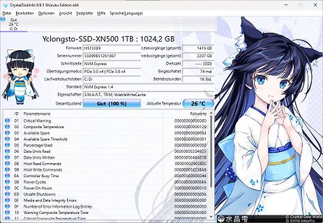 CrystalDiskInfo SSD Statusanzeige