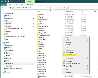 Windows Explorer Fenster mit Dateiliste