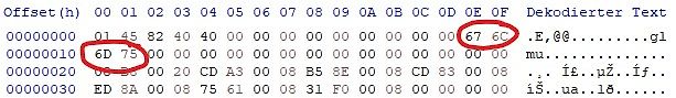 Hex-Editor Ansicht von Binärdaten