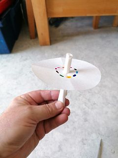 Papierbastelarbeit aus einer Toilettenpapierrolle