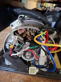 Elektrischer Motor mit freiliegender Verkabelung