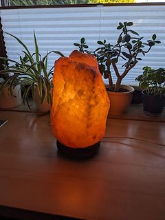 Salzlampe auf einem Tisch vor Pflanzen