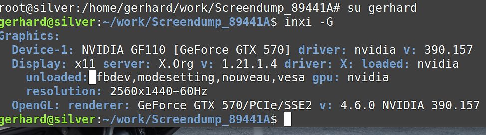 Terminal-Ausgabe der inxi-Grafikinformationen