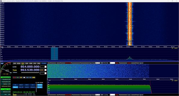 Spektrum- und Wasserfall-Anzeige einer SDR-Software