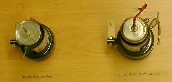 Zwei geöffnete NL-SD15000 Zündspulen auf Holzoberfläche