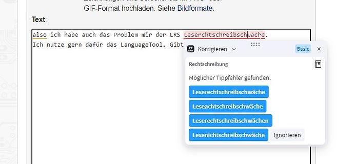 Screenshot einer Rechtschreibprüfung in einem Textfeld