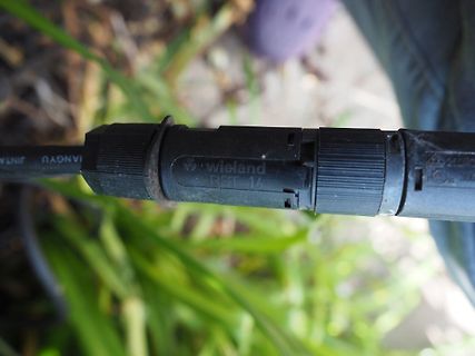 Wieland RST 16 Stecker
