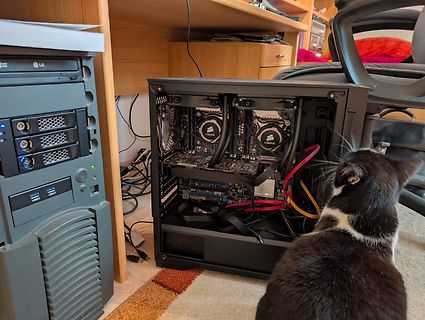 PC-Gehäuse mit Komponenten und Katze