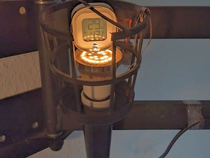 Digitales Thermometer in Metallkäfig