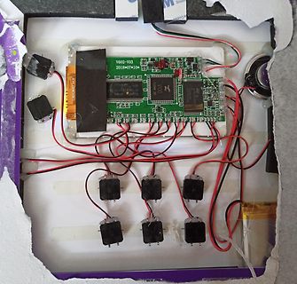 Geöffnetes Gehäuse mit Platine und Verkabelung