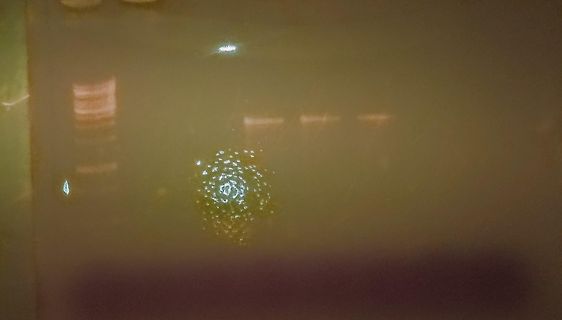 unscharfes Foto mit Lichtreflexionen