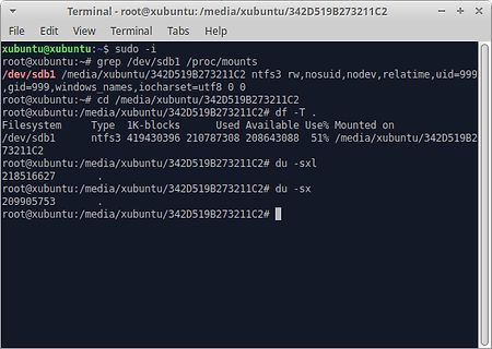 Linux Terminal mit Festplattenanalyse