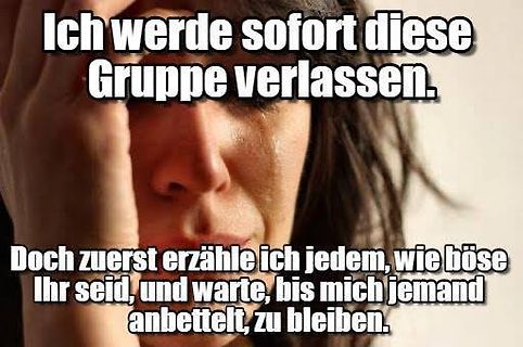 Meme mit Gesicht einer Frau und deutschem Text