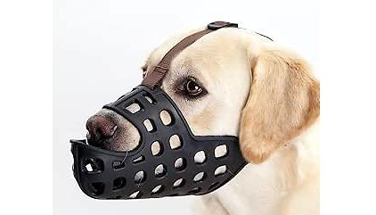 Hund mit Maulkorb