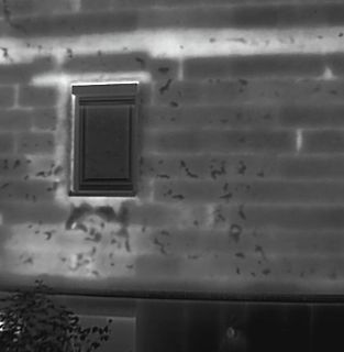 Unscharfes Schwarz-Weiß-Foto einer Wand mit Fenster