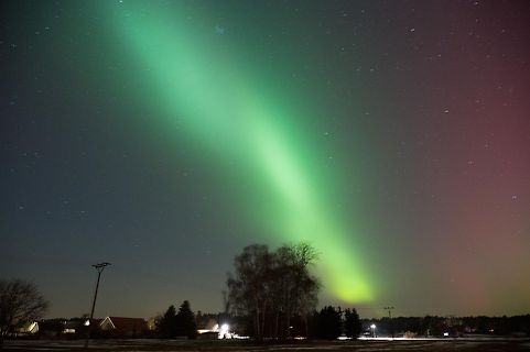 Nordlicht über Bäumen und Häusern