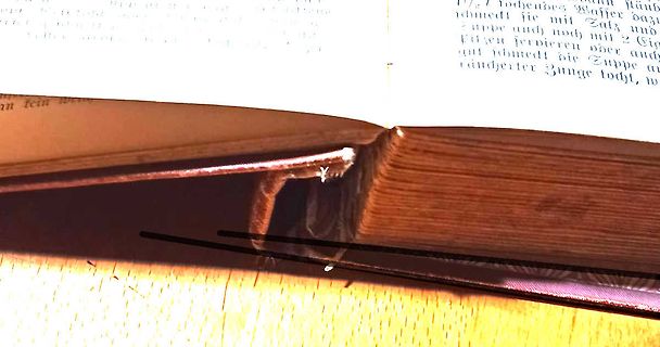 Nahaufnahme einer aufgeschlagenen Buchseite