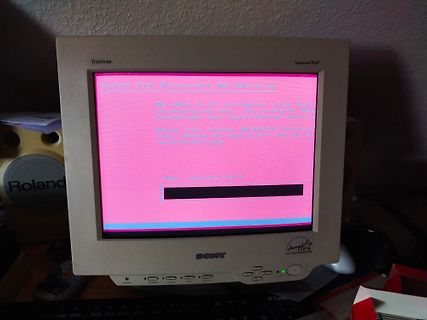Sony Trinitron Monitor mit MS-DOS Setup-Bildschirm