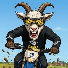 Comic-Illustration einer Ziege auf einem Motorrad