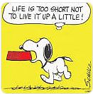 Snoopy Comic mit Spruch
