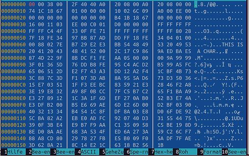Hexadezimaler Hex-Dump eines Speicherbereichs