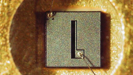 Makroaufnahme eines integrierten Schaltkreises mit Bonddrähten