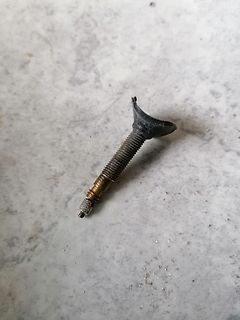 Metallschraube mit breitem Kopf auf hellem Untergrund