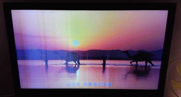 Abfotografierter Bildschirm mit Sonnenuntergang und Kamelen